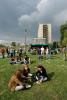 Inauguracja PK 2006 piknik 4739.jpg
